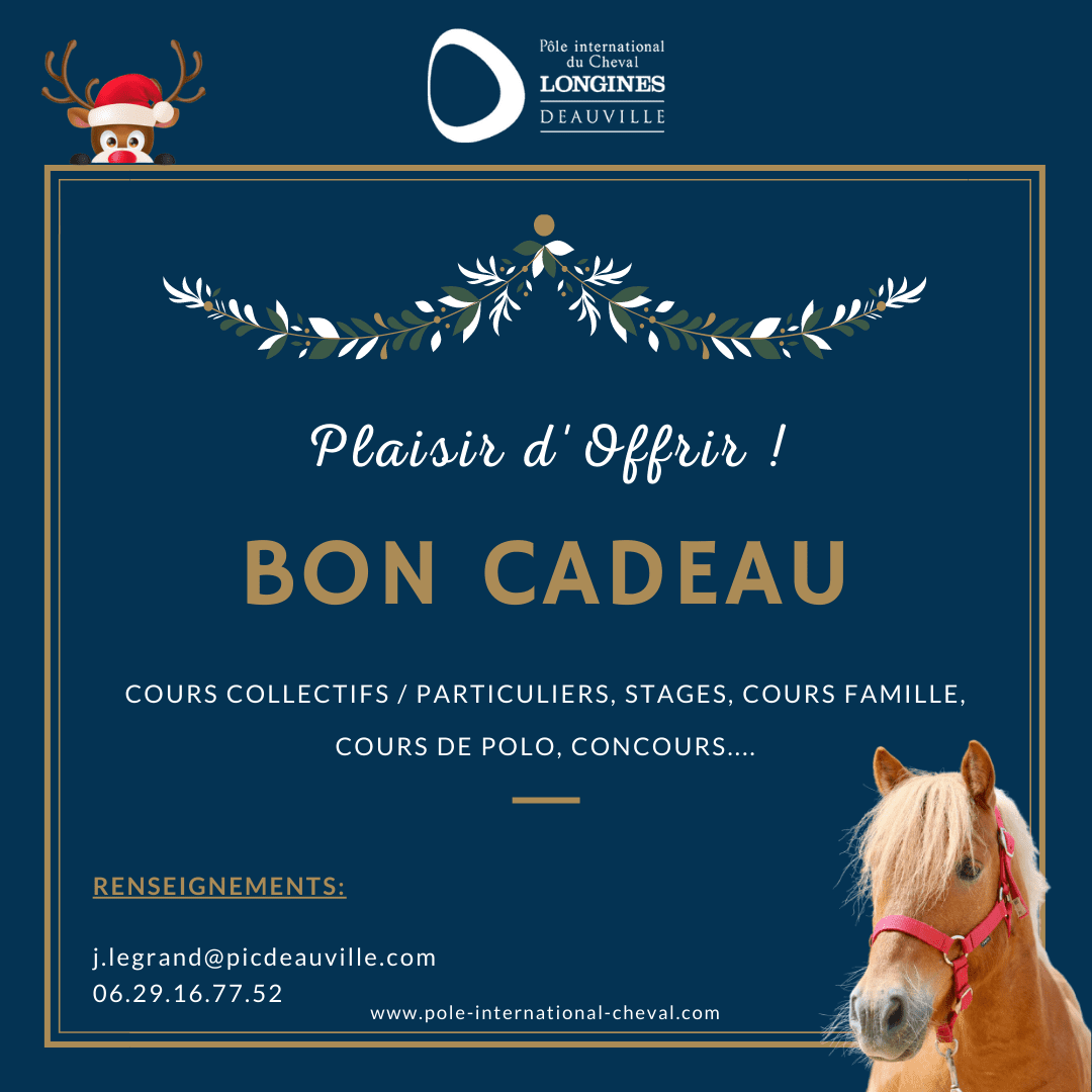 CADEAU NOËL - Pôle international du Cheval Longines – Deauville